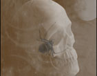 Halloween wallpapers 38
